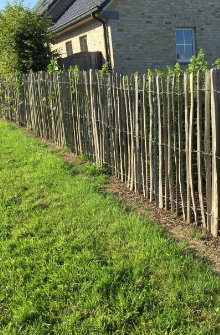 clôtures en bois châtaignier